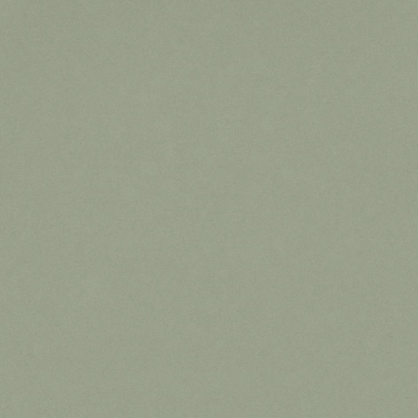 Posidonia Green Silestone Quartz