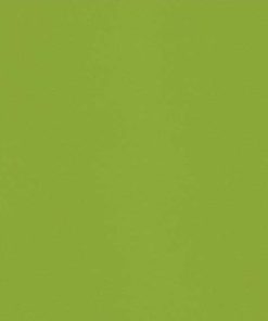 Silestone Green Fun Quartz
